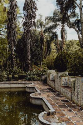 ¿Deseas explorar un oasis tropical en medio de la vibrante ciudad de Belém? ¡Conoce el Jardim Botânico!